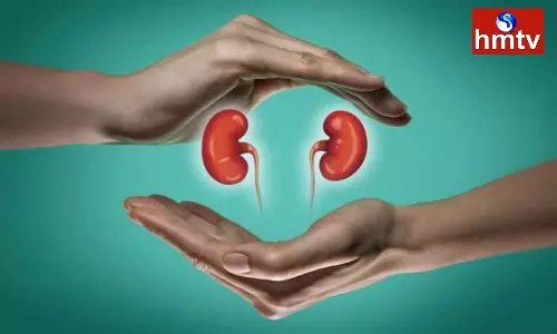 Avoid these Foods now to Avoid Kidney Damage