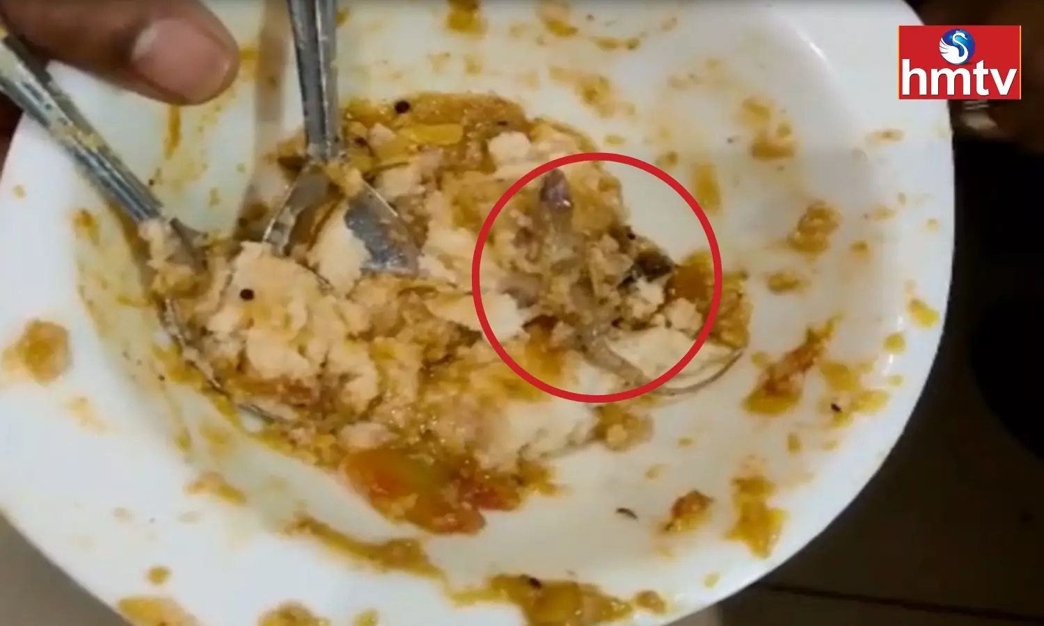 A Lizard Found in idli Sambar While Having Tiffin in a Hotel