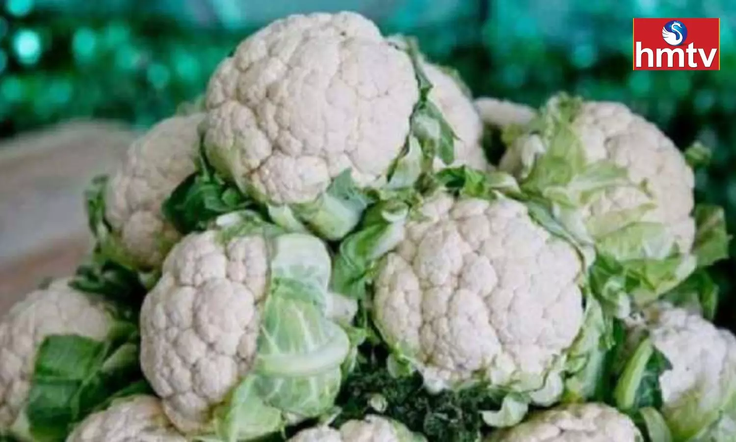 Even by Mistake These People Should not eat Cauliflower the Problem Will Increase