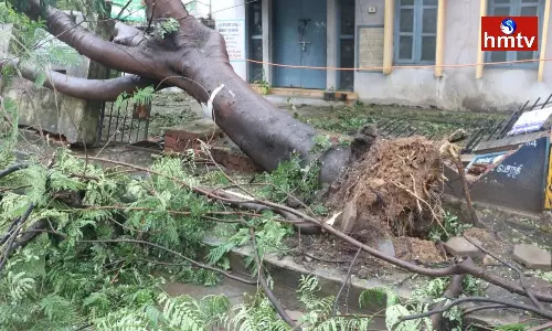 Mandous Disaster In Tamil Nadu