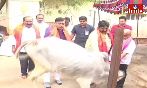 MP GVL Responded To Guntur Market Yard Incident MP GVL Responded To Guntur Market Yard Incident