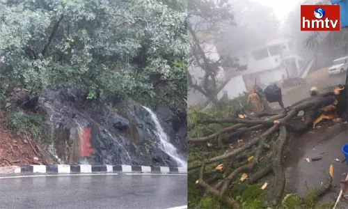 Heavy Rain in Tirumala | AP News