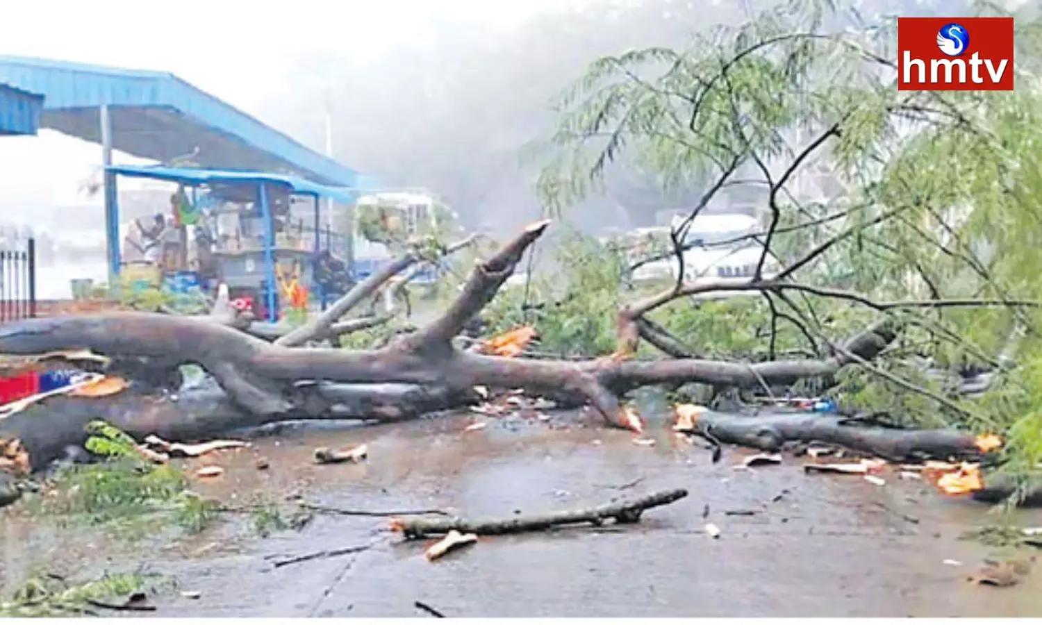 Cyclone Mandous In Andhra Pradesh