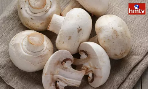 If You Have Such Problems Avoid Mushrooms or Else the Problem will increase If You Have Such Problems Avoid Mushrooms or Else the Problem will increase