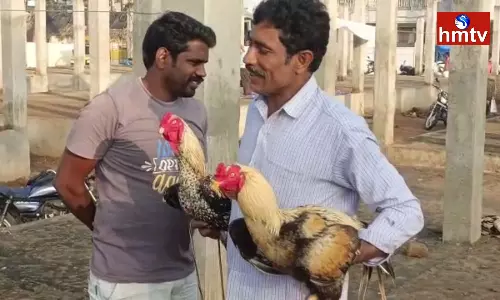 Festive Atmosphere At Gokavaram Santa