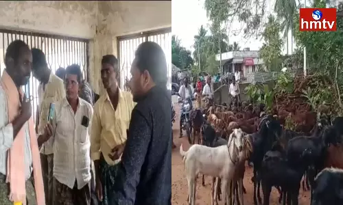 Protest Against Veterinary Doctor For Not Treating Animals