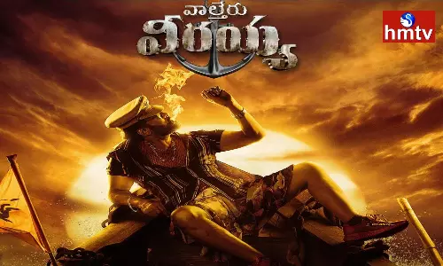 Hot Scene in Waltair Veerayya Movie