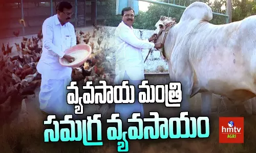 Organic Farming BY Telangana Agriculture Minister Niranjan Reddy Organic Farming BY Telangana Agriculture Minister Niranjan Reddy