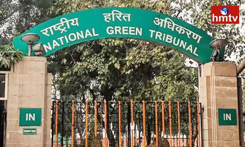 NGT imposed Huge Fine on Telangana Govt NGT imposed Huge Fine on Telangana Govt