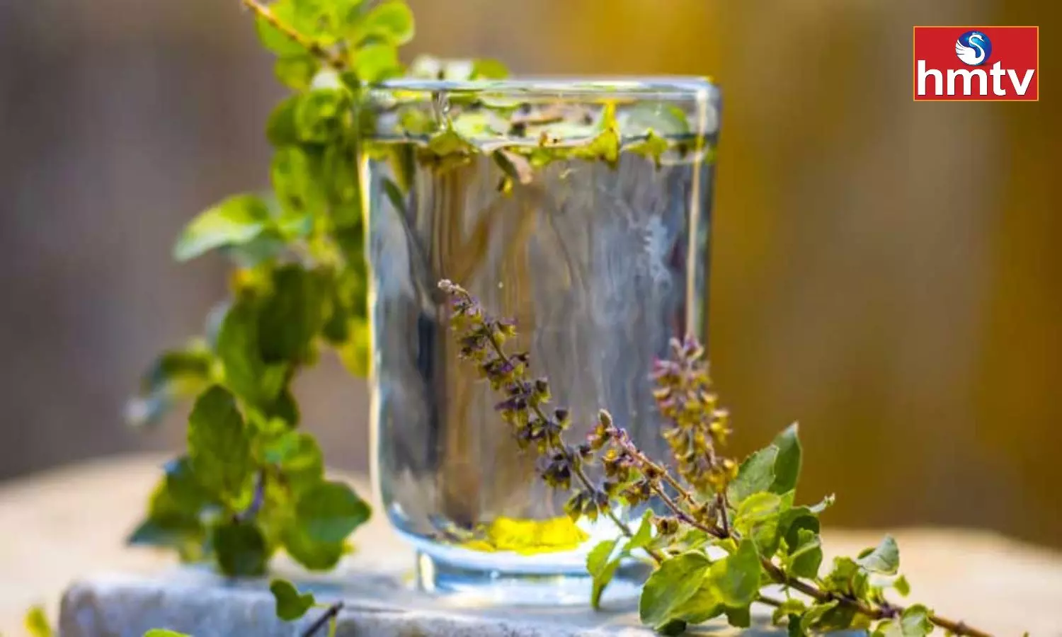 Tulsi Water is the Solution to all the Problems in the House Try This