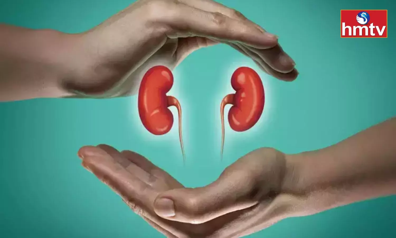 These Changes in Lifestyle are Mandatory to Keep the Kidneys Healthy