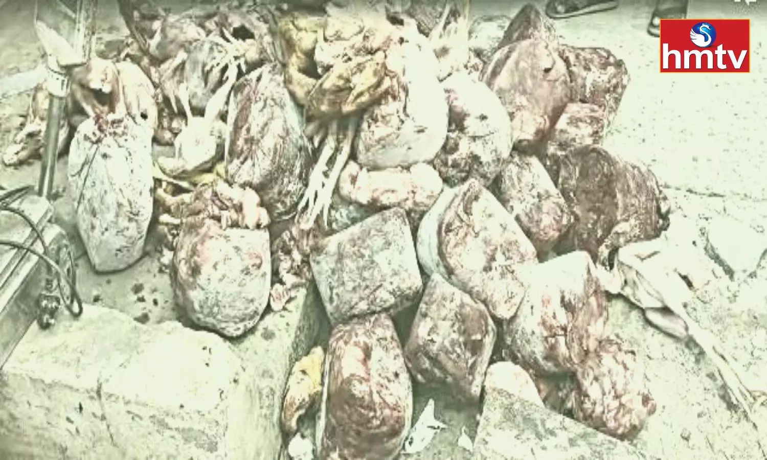 Rotten Chicken Found in Nellore