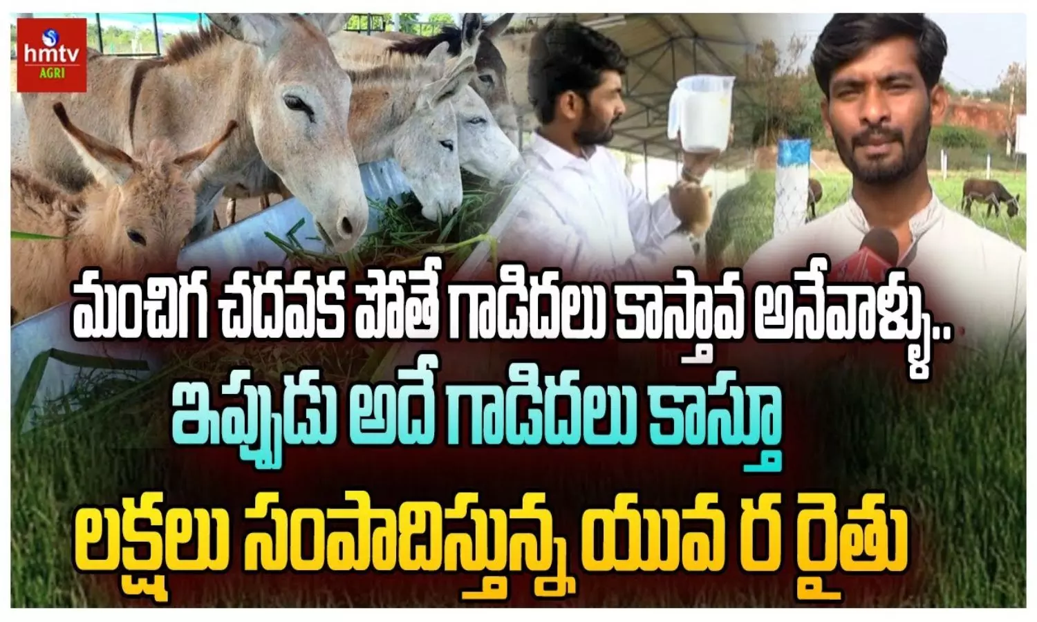 First Donkey Farm in Telangana Opens in Nagarkurnool