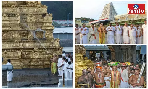 Koil Alwar Thirumanjanam