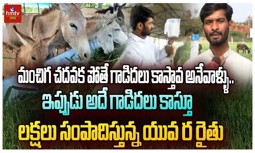 First Donkey Farm in Telangana Opens in Nagarkurnool First Donkey Farm in Telangana Opens in Nagarkurnool
