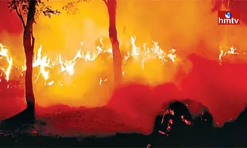 Fire Accident In Parvathipuram District