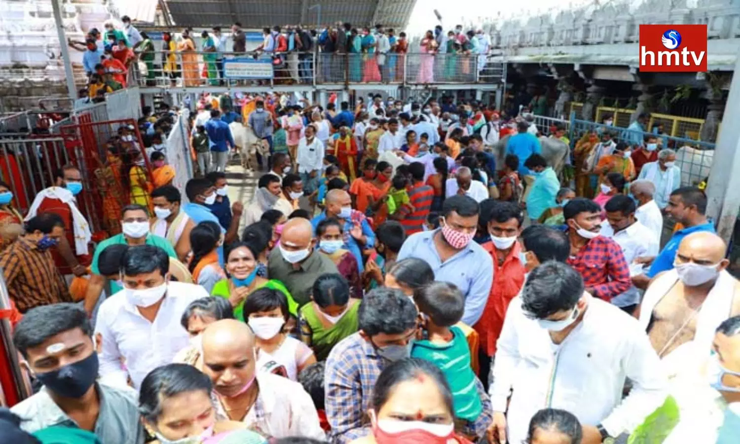 Devotees Flocked To Rajanna Temple