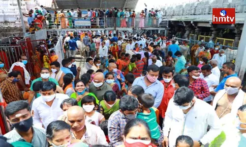 Devotees Flocked To Rajanna Temple