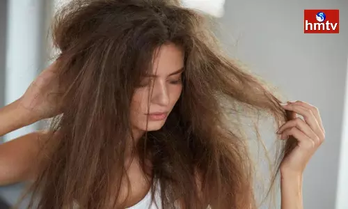 These Oils Repair Damaged Hair Make It Beautiful Again