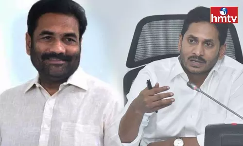 Kotamreddy Sridhar Reddy Meeting With CM Jagan