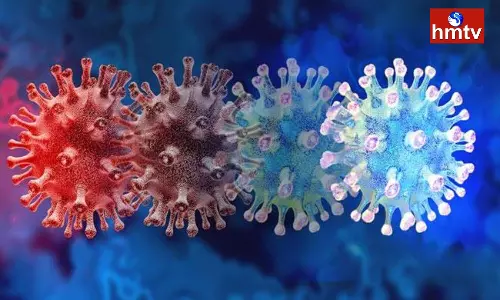 Corona New Variant Infected Woman In Vizianagaram