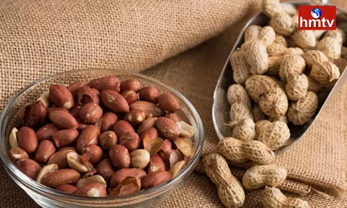 These People Should not Eat Groundnuts it Will Cause a lot of Harm to the Body These People Should not Eat Groundnuts it Will Cause a lot of Harm to the Body