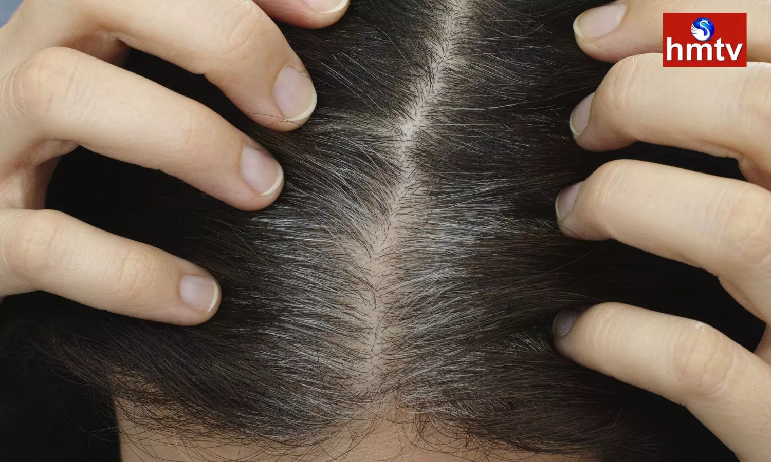 How to Stop Hair From Graying Stop These Things Immediately