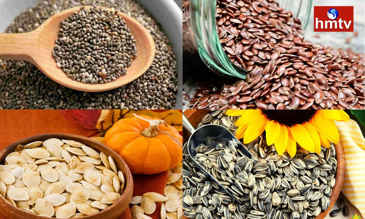 Nutrients are Abundant in these Seeds