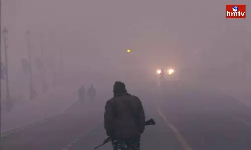 Extensive Fog In North India
