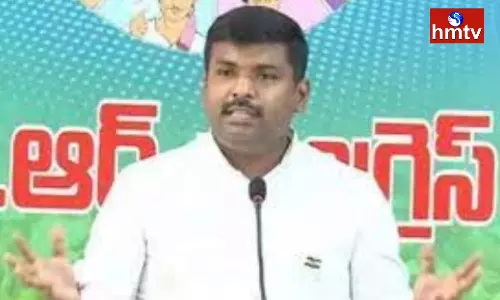 Ambati Rambabu And Gudivada Amarnath Criticized Chandrababu Pawan Kalyan