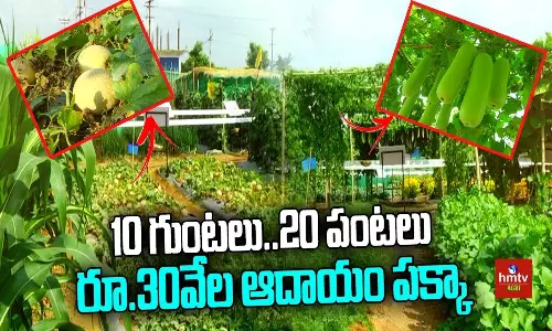 Attractive Model Farming System in Narayanpet