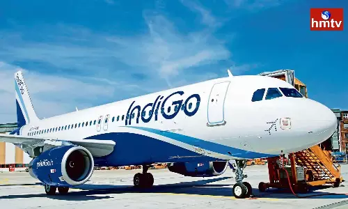 Harassment Of Indigo Flight Air Hostess Harassment Of Indigo Flight Air Hostess