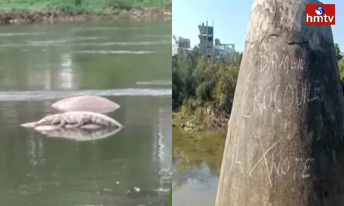 Crocodile At Rajendra Nagar In Hyderabad