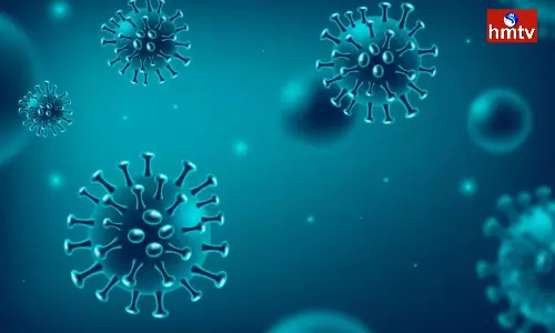 Cases of Omicron Variant xbb 1.5 bf.7 Variant are Increasing in the Country be Sure to Follow These Suggestions