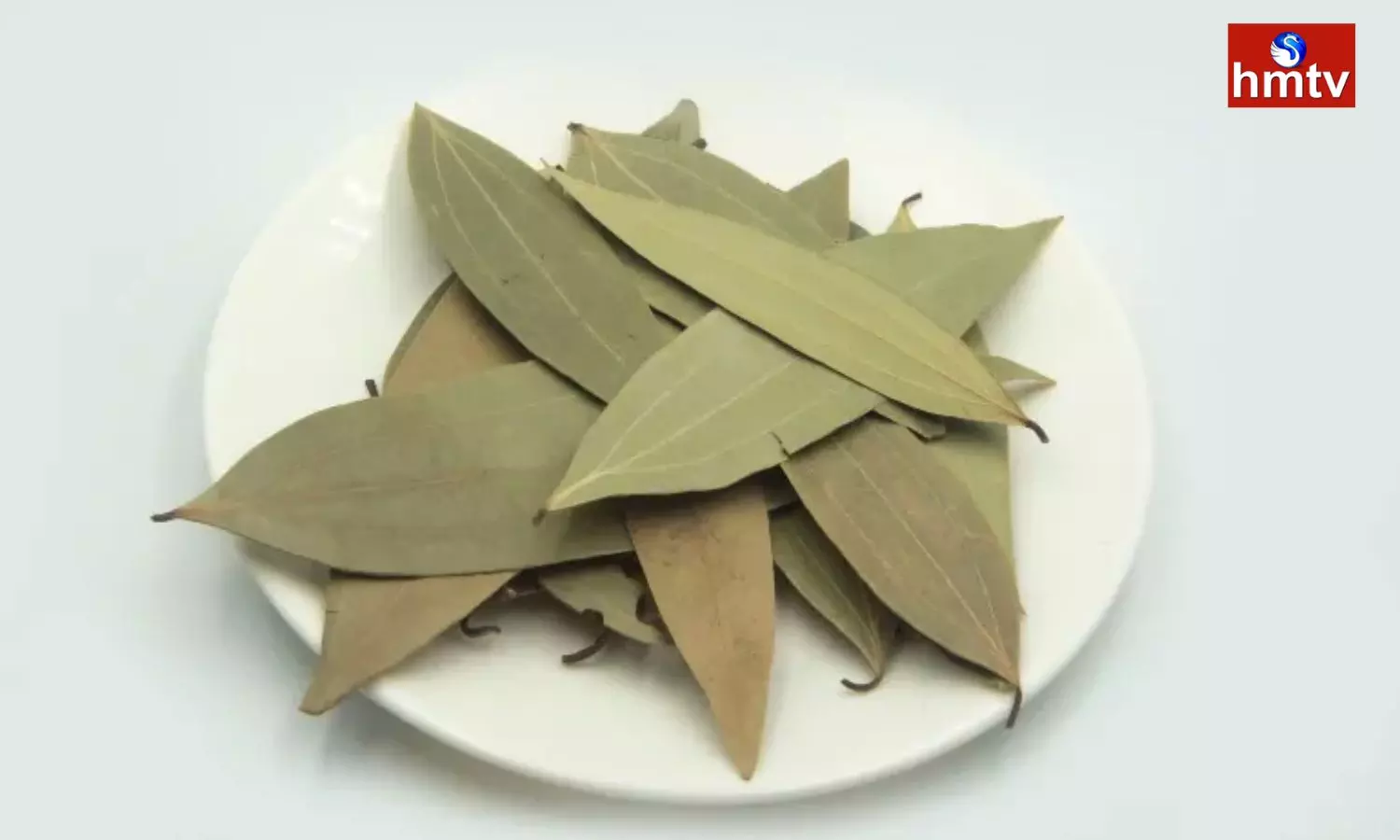Amazing Medicinal Properties in Bay leaf Divine Medicine for These Diseases