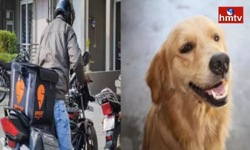 Tragedy In Banjara Hills Swiggy Delivery Boy Rizwan Died