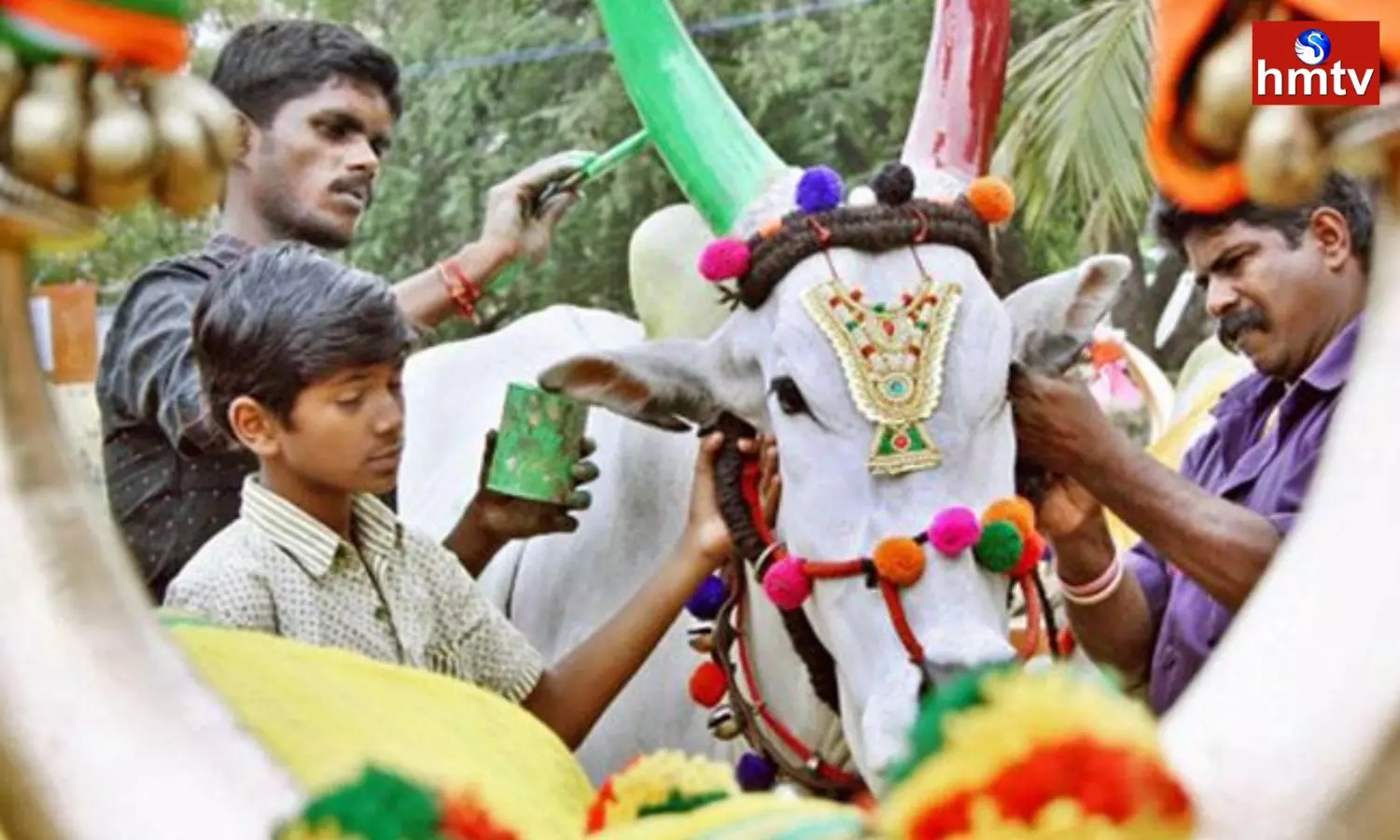 Kanuma Festival is Celebrated in Srikakulam District