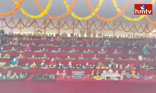 An Impressive Collection Of Dolls In Konaseema District