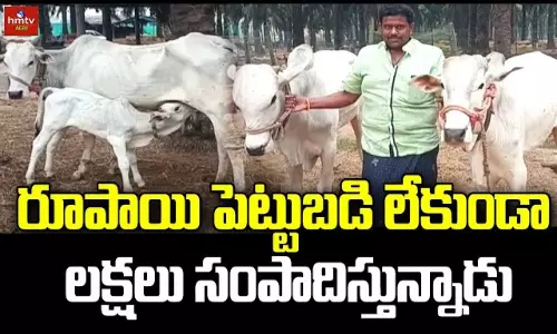 Eluru Farmer Excels in Go Adharitha Vyavasayam
