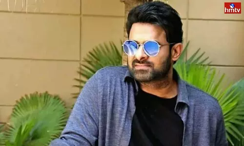 The Star Producer Made interesting Comments about the Movies Spirit and Animal The Star Producer Made interesting Comments about the Movies Spirit and Animal