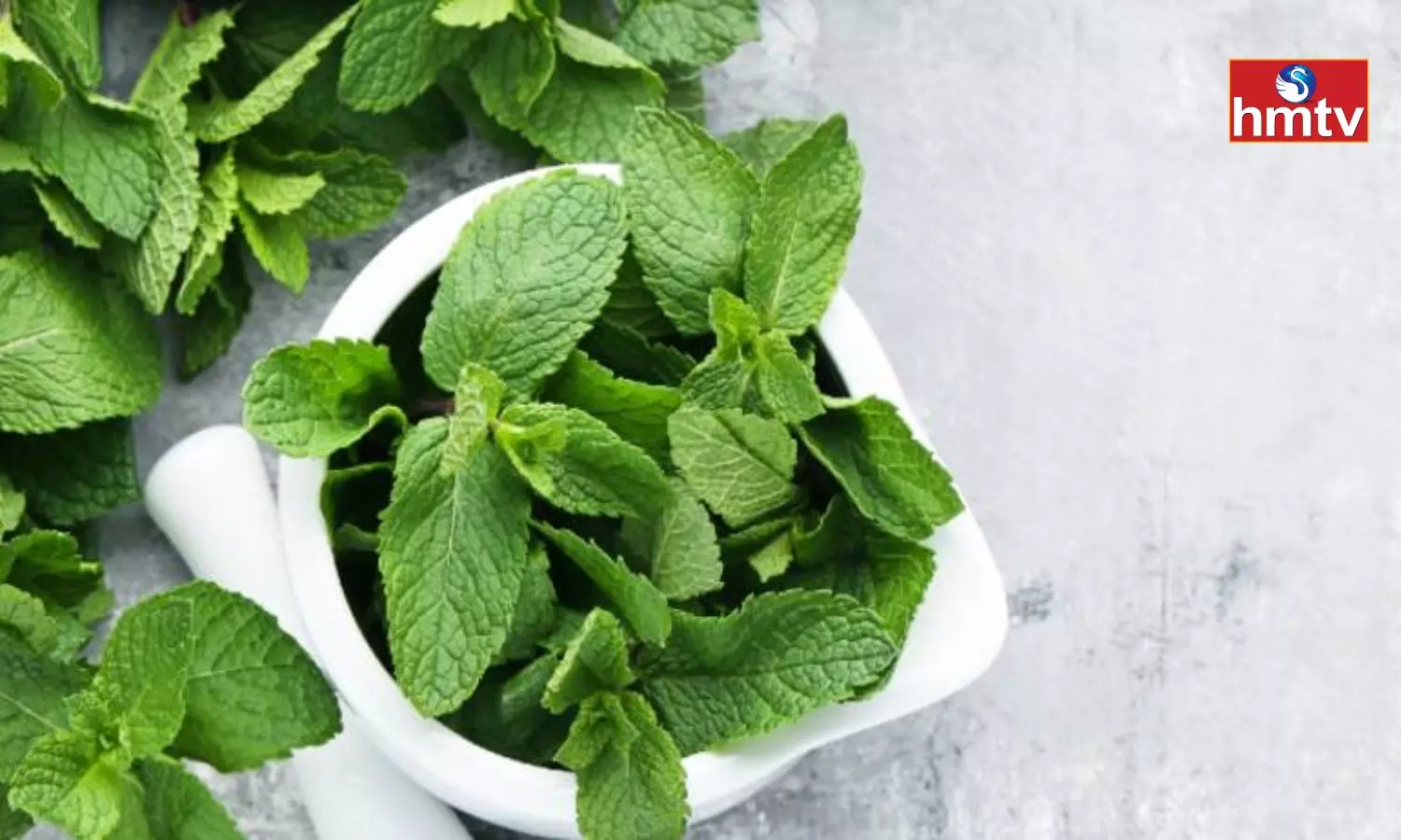 Wonderful Medicinal Properties in mint a Good Relief for these Diseases in Winter