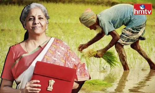 Find out What Farmers Think About Farm Loans and Subsidies in the Budget 2023