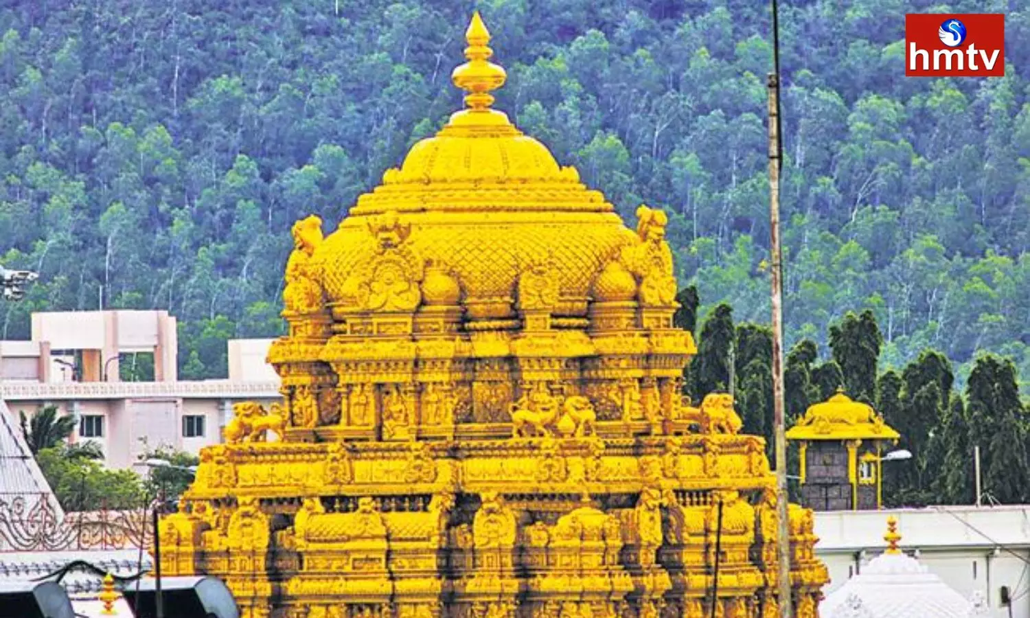 Huge Devotees Rush at Tirumala Tirupati Temple