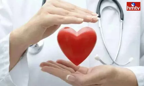 These Foods Should be in the Diet to Keep the Heart Healthy These Foods Should be in the Diet to Keep the Heart Healthy