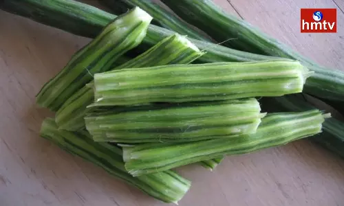 Nutrients Are Abundant In Drumsticks Apart From Sugar All These Diseases Are Away Nutrients Are Abundant In Drumsticks Apart From Sugar All These Diseases Are Away