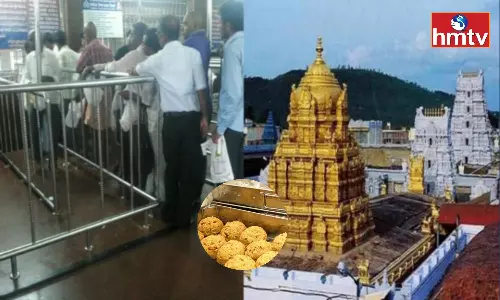 Theft In Tirumala Laddu Counter Theft In Tirumala Laddu Counter