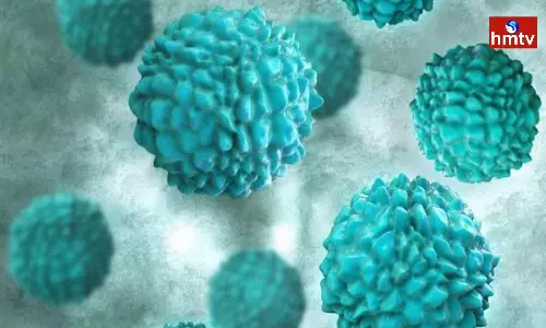 Noro Virus Is Spreading Its Claws In The Country