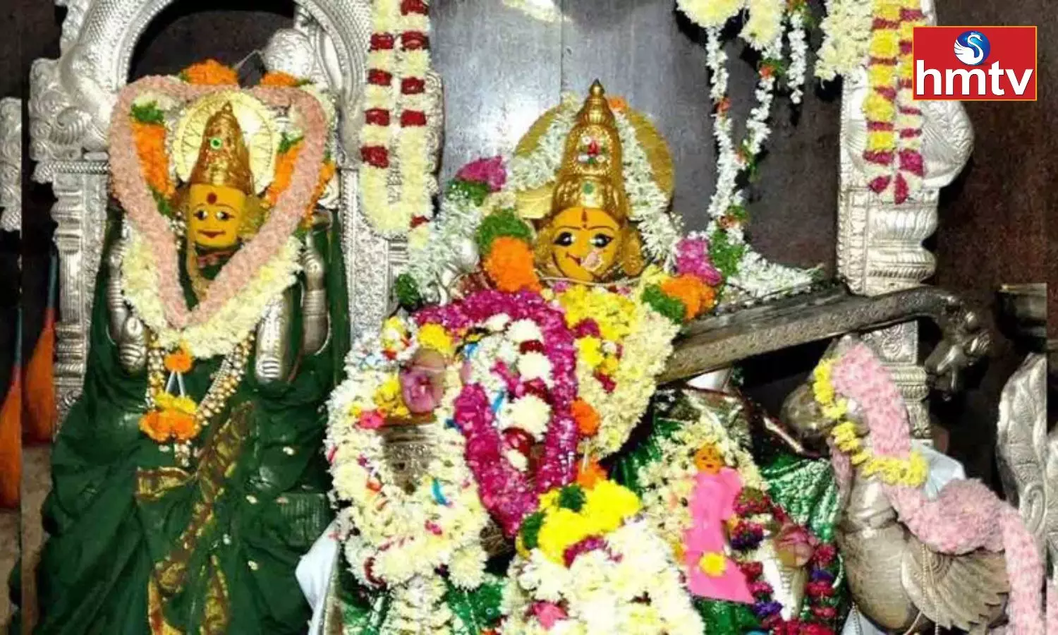 Vasantha Panchami Celebrations In Basara Sri Gnana Saraswathi Temple