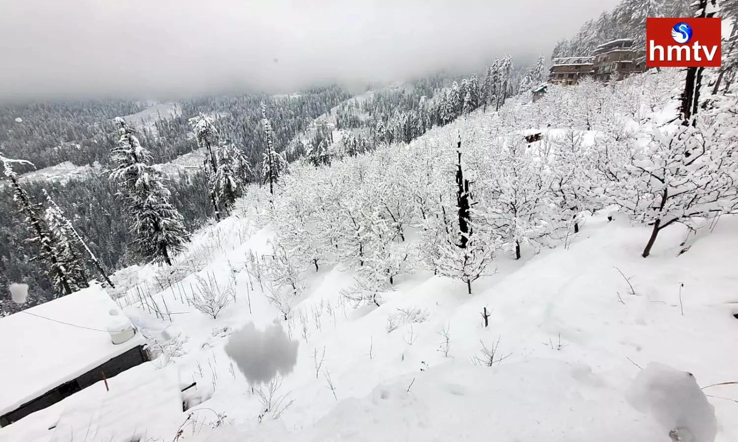 Heavy Snowfall in Himachal