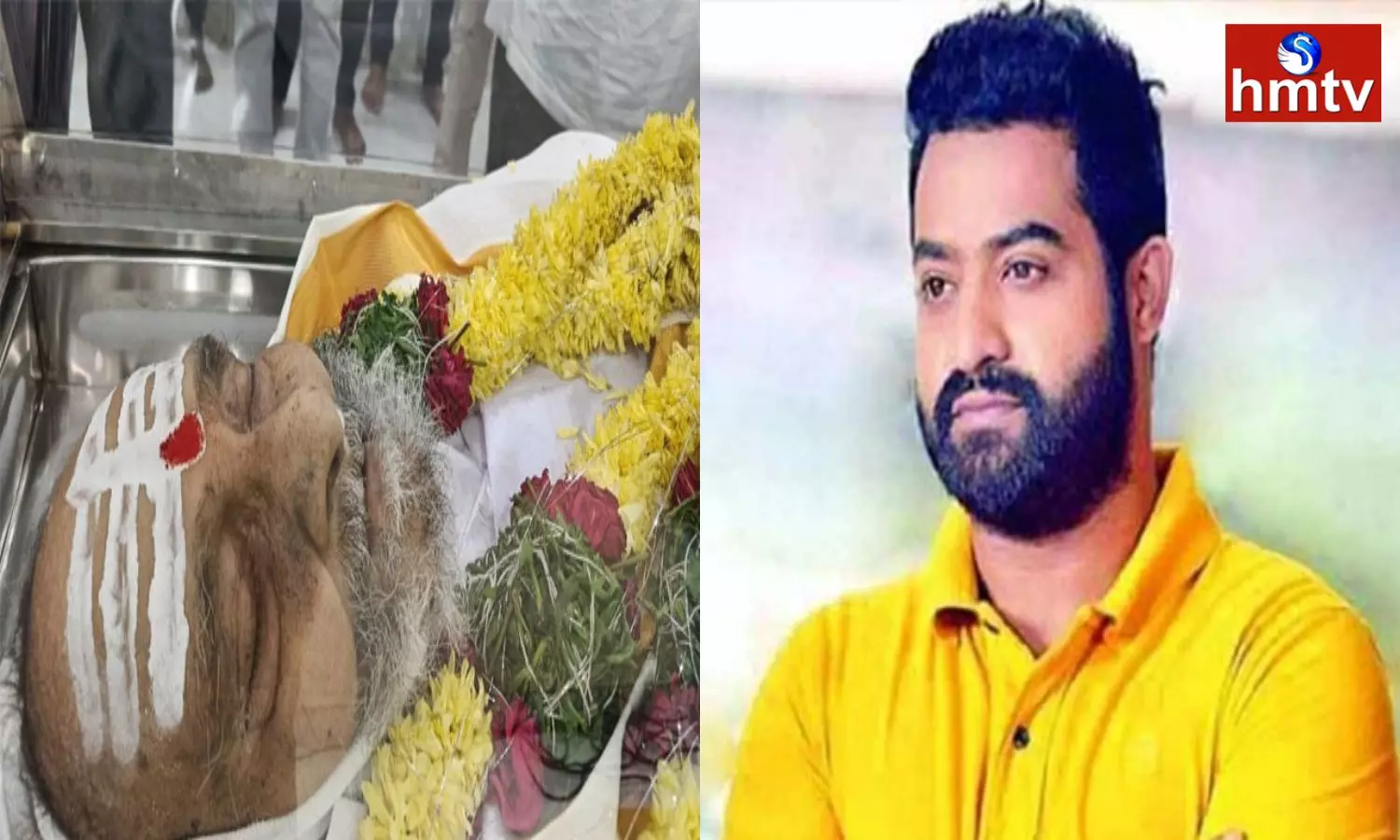 Jr. NTR Condolences to Director K Vishwanath